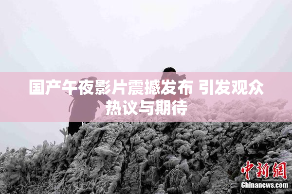 国产午夜影片震撼发布 引发观众热议与期待
