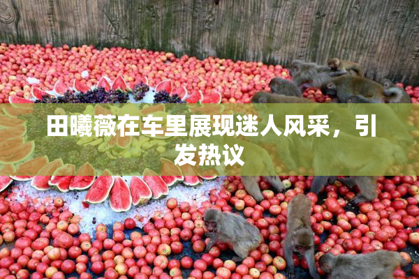 田曦薇在车里展现迷人风采，引发热议
