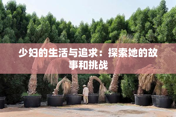 少妇的生活与追求：探索她的故事和挑战