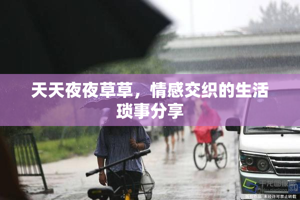 天天夜夜草草，情感交织的生活琐事分享