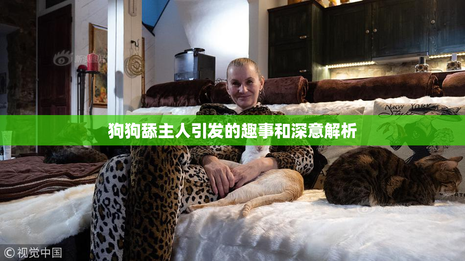 狗狗舔主人引发的趣事和深意解析