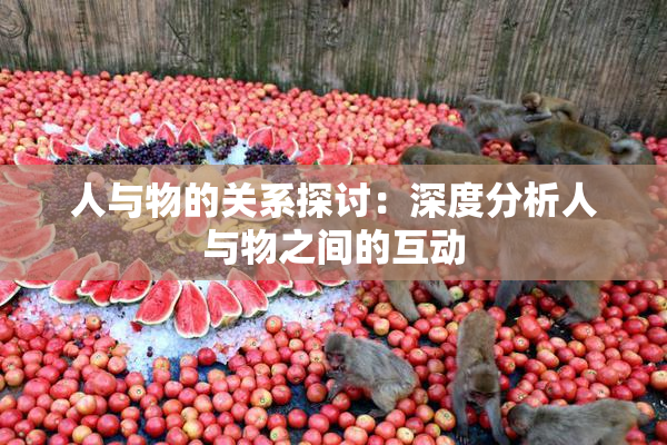 人与物的关系探讨：深度分析人与物之间的互动
