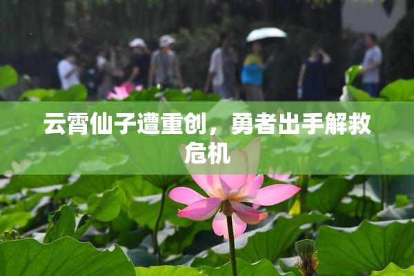 云霄仙子遭重创，勇者出手解救危机