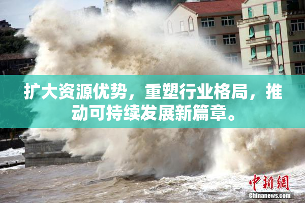 扩大资源优势，重塑行业格局，推动可持续发展新篇章。