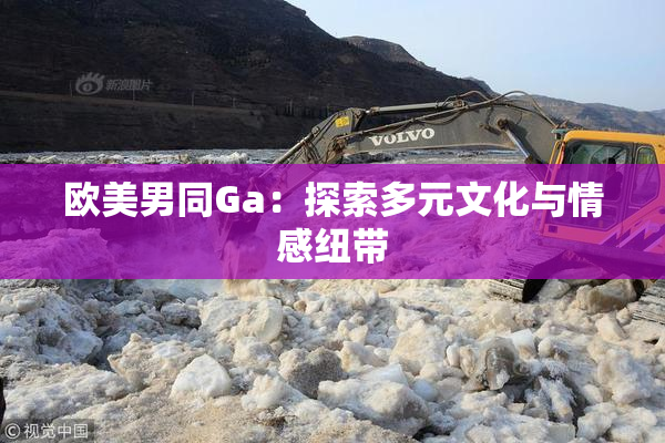 欧美男同Ga：探索多元文化与情感纽带