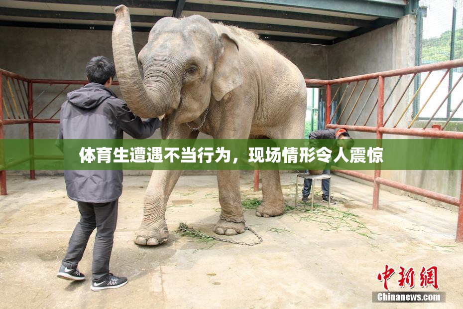 体育生遭遇不当行为，现场情形令人震惊