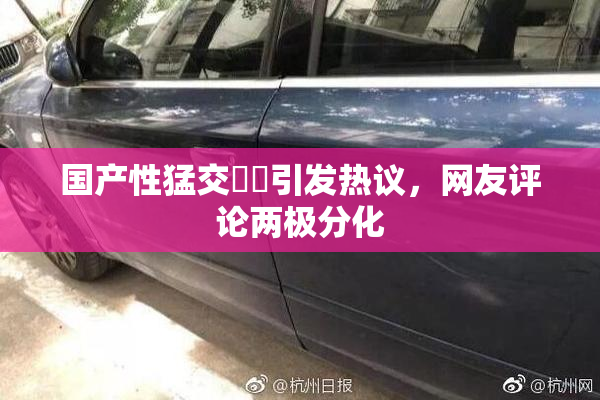 国产性猛交❌‌引发热议，网友评论两极分化