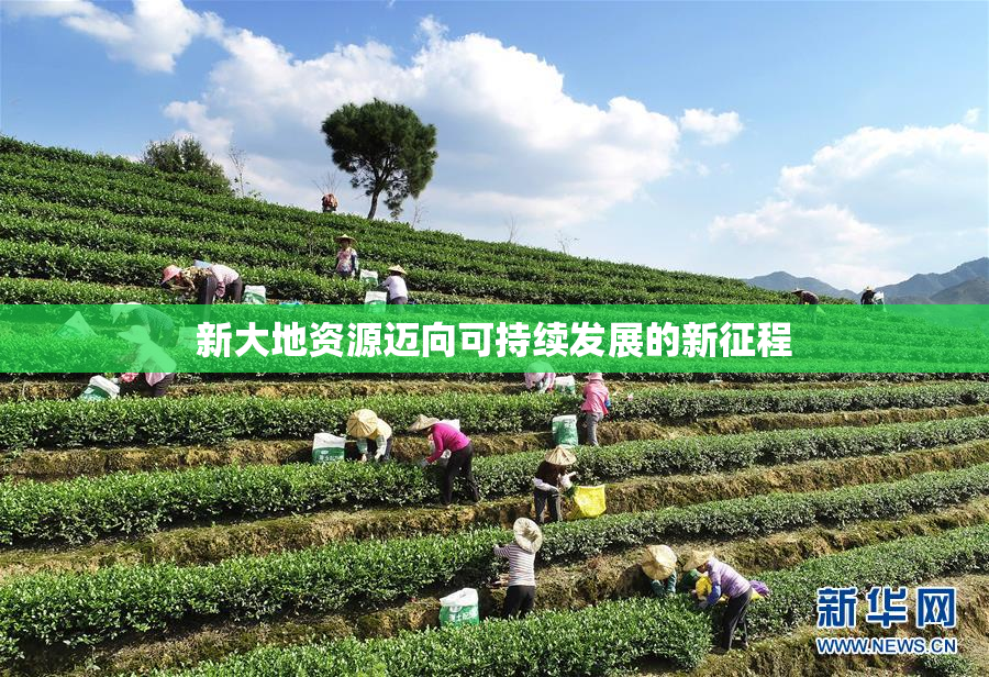 新大地资源迈向可持续发展的新征程