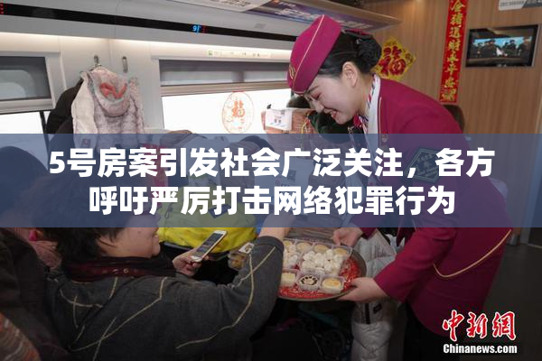 5号房案引发社会广泛关注，各方呼吁严厉打击网络犯罪行为