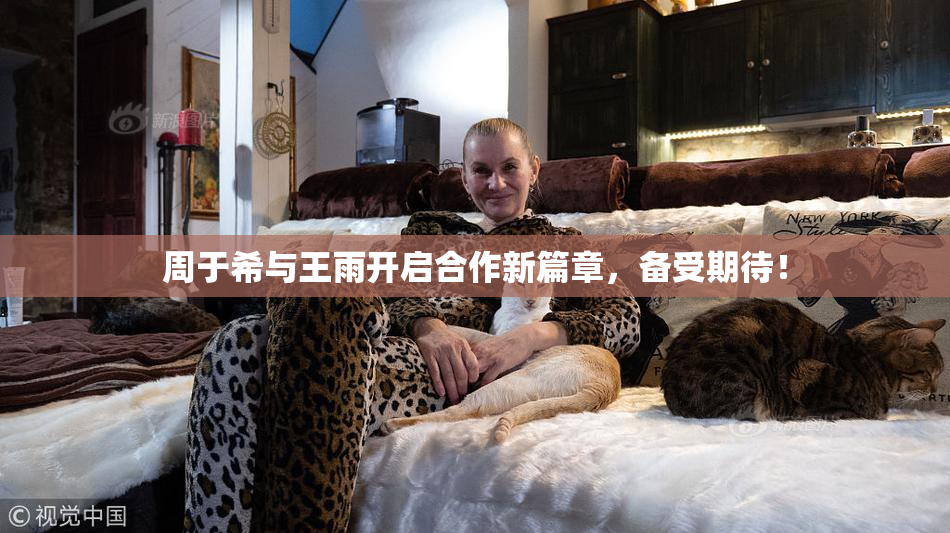周于希与王雨开启合作新篇章，备受期待！