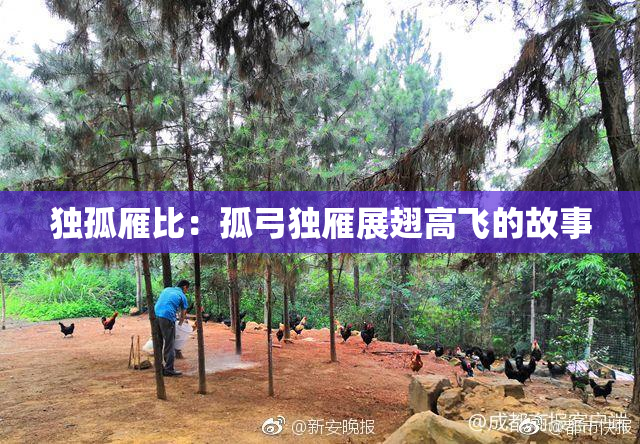 独孤雁比：孤弓独雁展翅高飞的故事