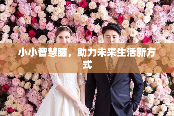 小小智慧脑，助力未来生活新方式