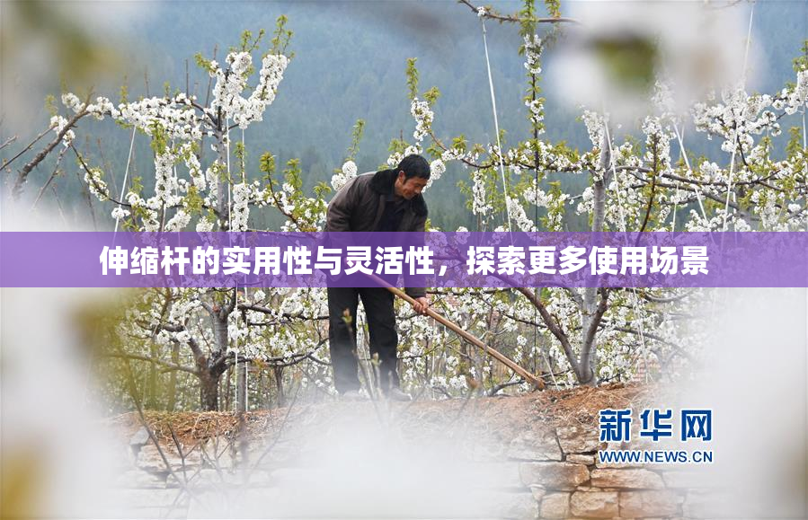 伸缩杆的实用性与灵活性，探索更多使用场景