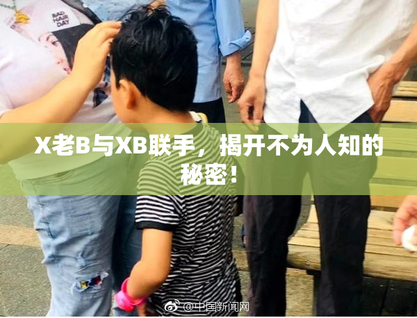 X老B与XB联手，揭开不为人知的秘密！