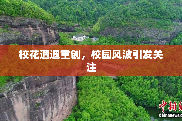 校花遭遇重创，校园风波引发关注