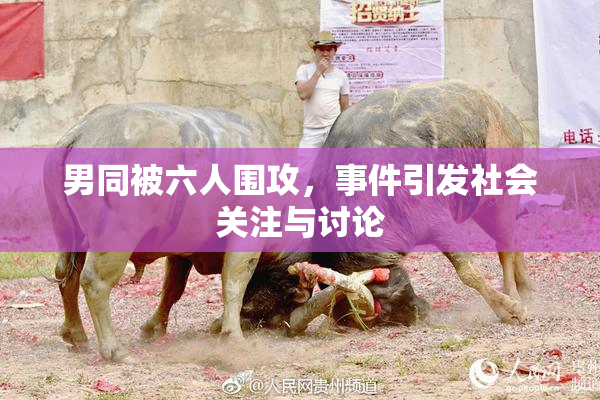 男同被六人围攻，事件引发社会关注与讨论