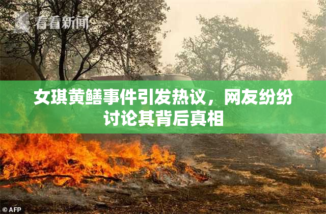 女琪黄鳝事件引发热议，网友纷纷讨论其背后真相