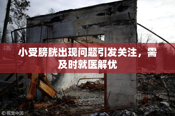 小受膀胱出现问题引发关注，需及时就医解忧