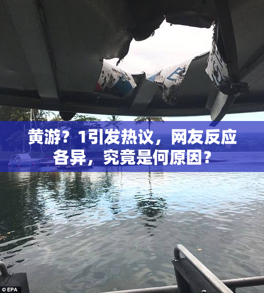 黄游？1引发热议，网友反应各异，究竟是何原因？