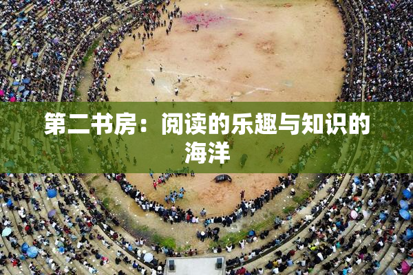 第二书房：阅读的乐趣与知识的海洋