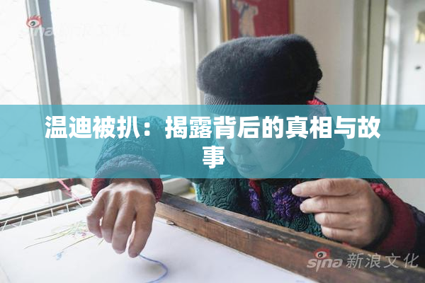 温迪被扒：揭露背后的真相与故事