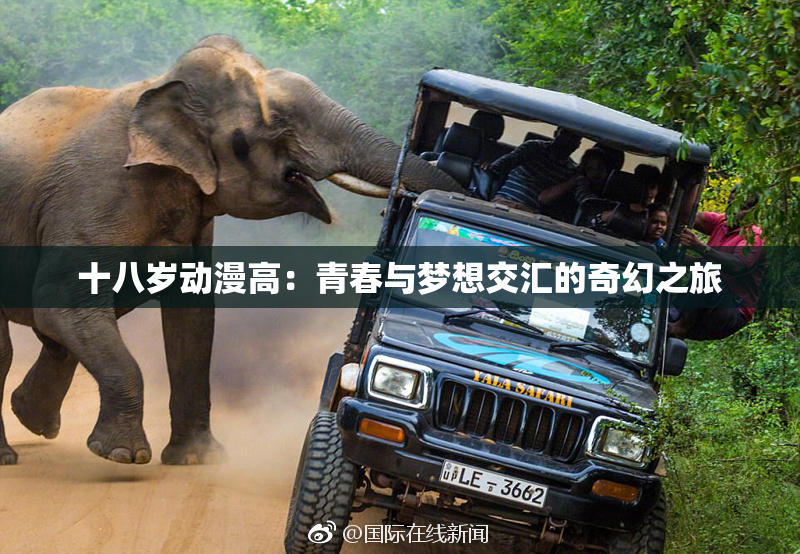 十八岁动漫高：青春与梦想交汇的奇幻之旅