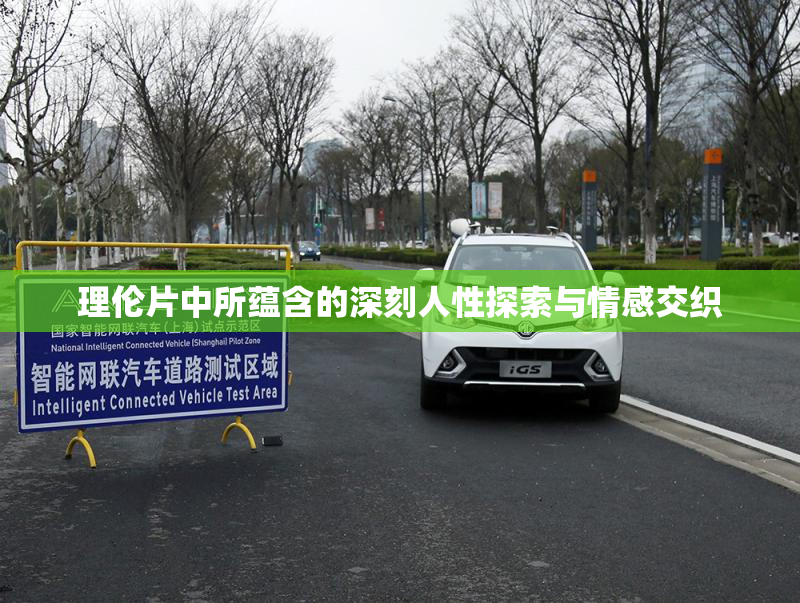 理伦片中所蕴含的深刻人性探索与情感交织