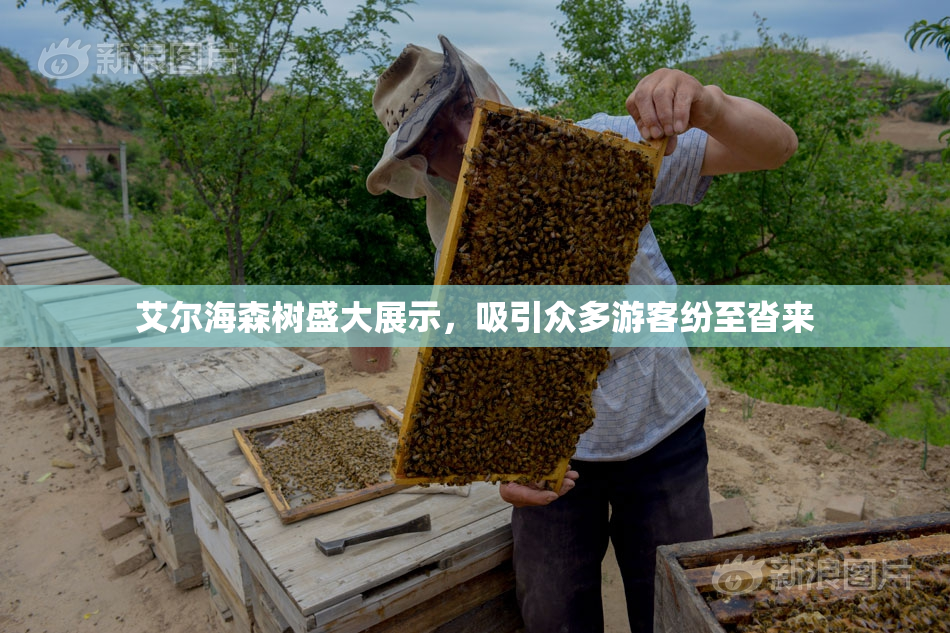 艾尔海森树盛大展示，吸引众多游客纷至沓来