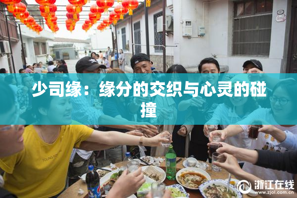 少司缘：缘分的交织与心灵的碰撞