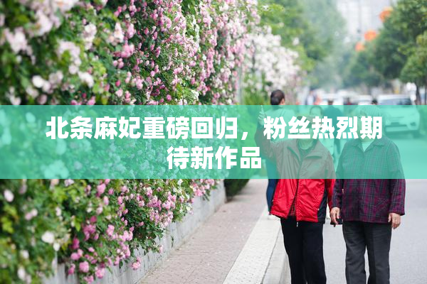 北条麻妃重磅回归，粉丝热烈期待新作品
