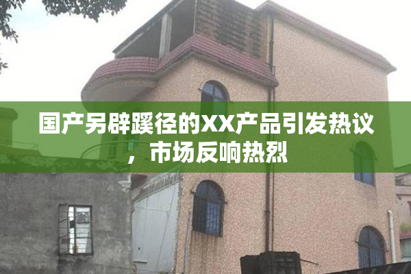 国产另辟蹊径的XX产品引发热议，市场反响热烈