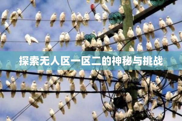 探索无人区一区二的神秘与挑战