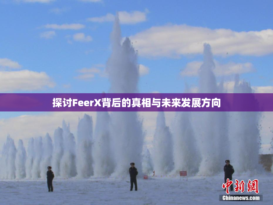 探讨FeerX背后的真相与未来发展方向