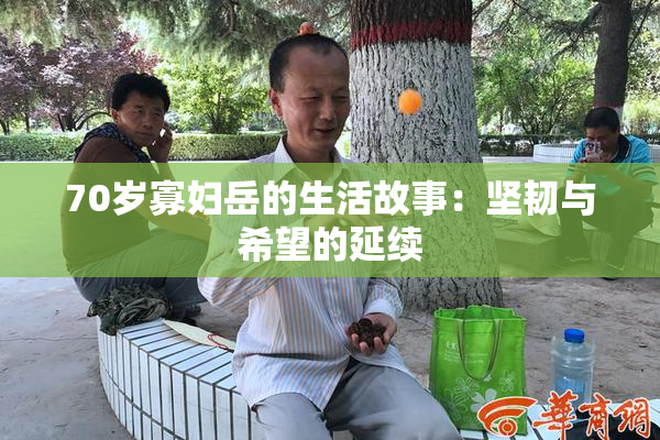 70岁寡妇岳的生活故事：坚韧与希望的延续