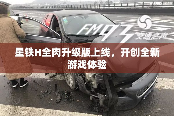 星铁H全肉升级版上线，开创全新游戏体验