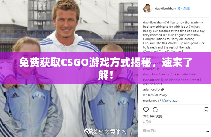 免费获取CSGO游戏方式揭秘，速来了解！