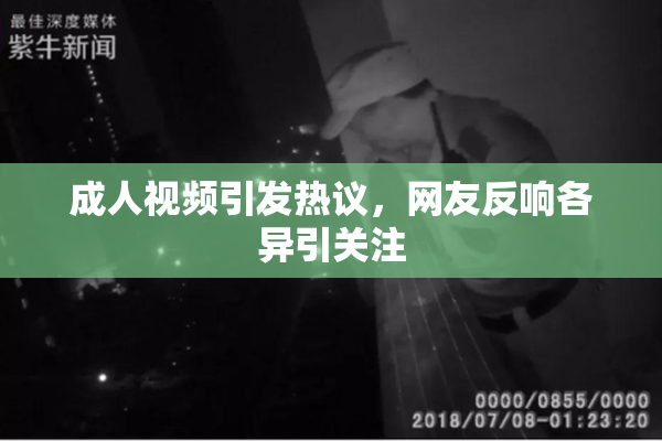 成人视频引发热议，网友反响各异引关注