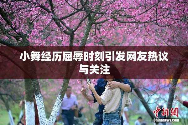 小舞经历屈辱时刻引发网友热议与关注