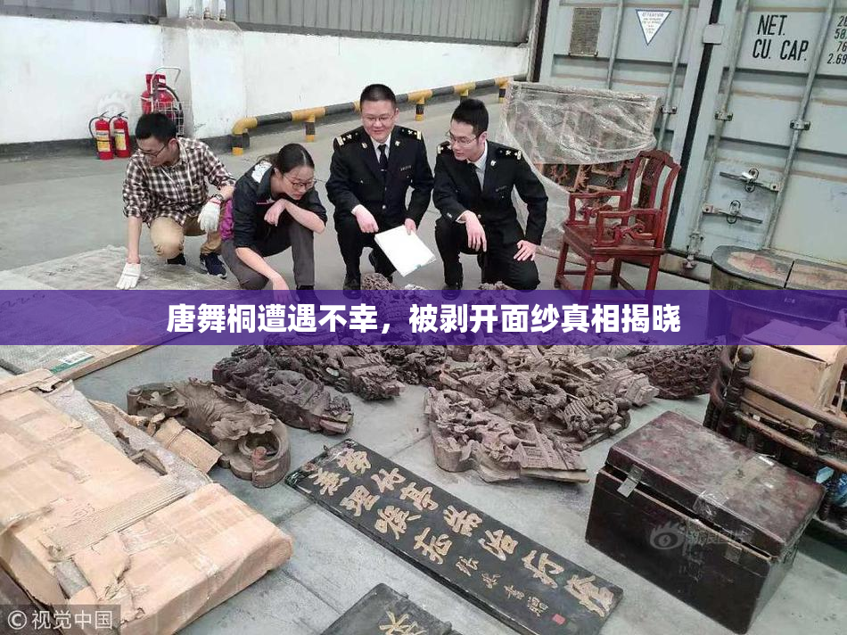 唐舞桐遭遇不幸，被剥开面纱真相揭晓