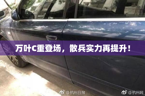 万叶C重登场，散兵实力再提升！