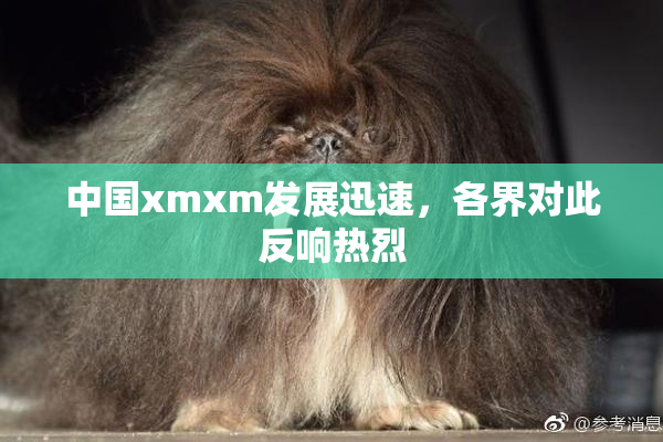 中国xmxm发展迅速，各界对此反响热烈