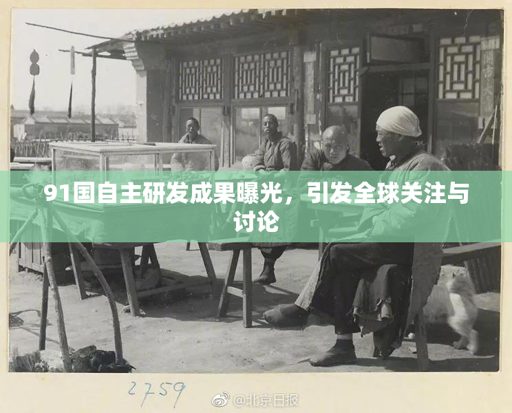 91国自主研发成果曝光，引发全球关注与讨论