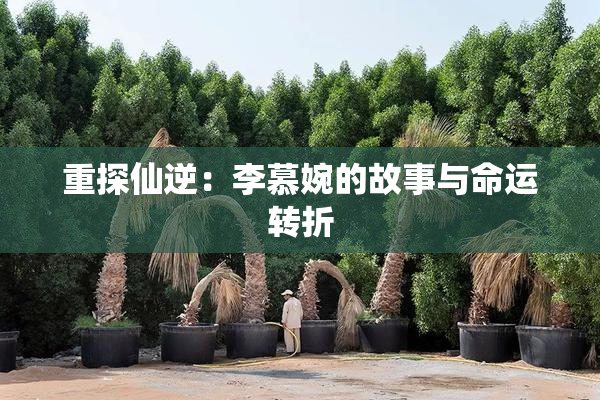 重探仙逆：李慕婉的故事与命运转折