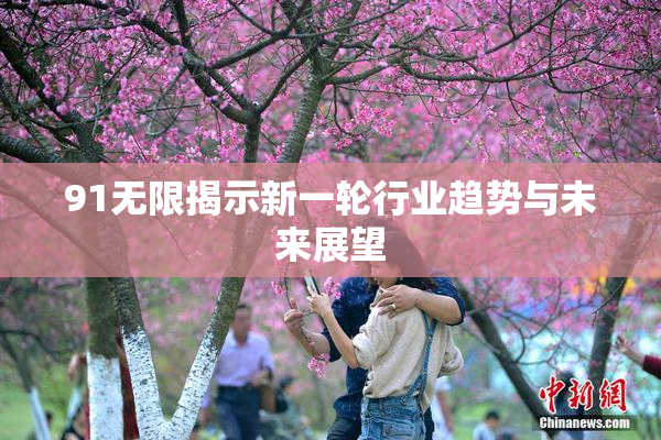 91无限揭示新一轮行业趋势与未来展望