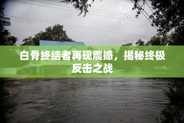 白骨终结者再现震撼，揭秘终极反击之战
