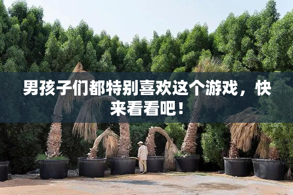 男孩子们都特别喜欢这个游戏，快来看看吧！
