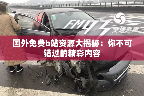 国外免费b站资源大揭秘：你不可错过的精彩内容