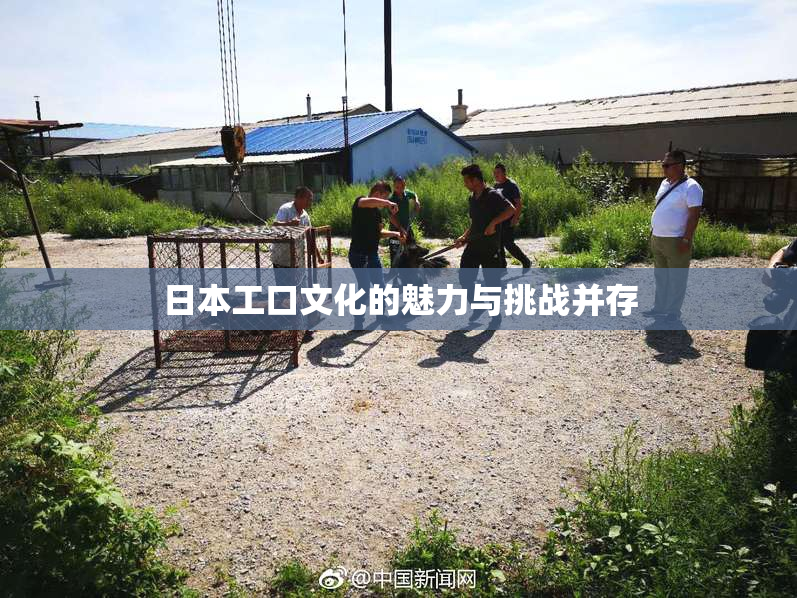 日本工口文化的魅力与挑战并存