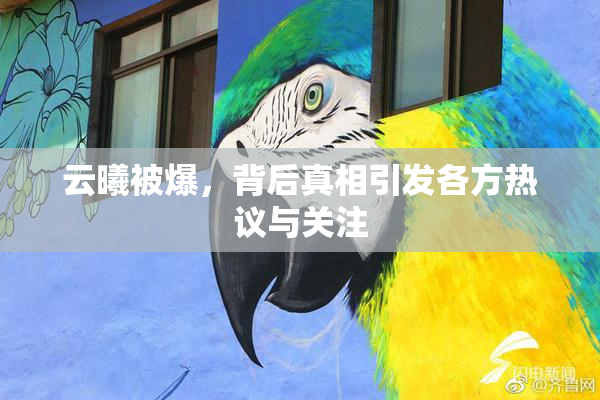 云曦被爆，背后真相引发各方热议与关注