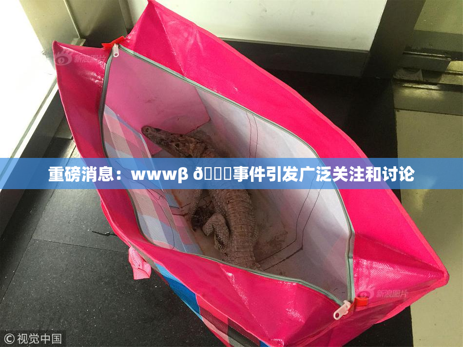 重磅消息：wwwβ 👙事件引发广泛关注和讨论